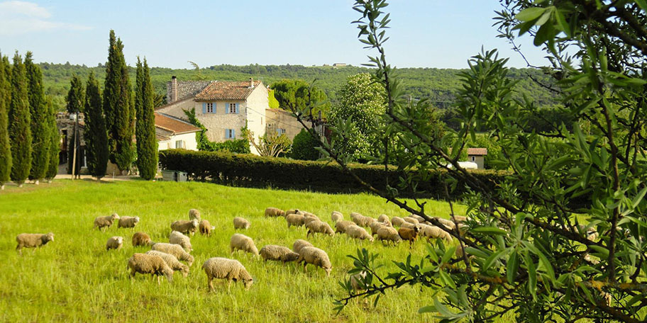 Average cost of living in France