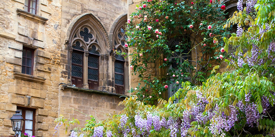 Photo of Sarlat