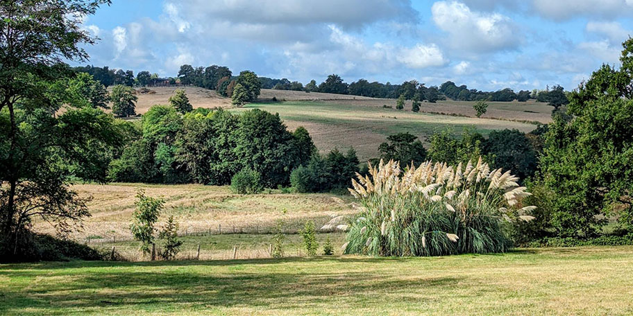 Paysage de Charente