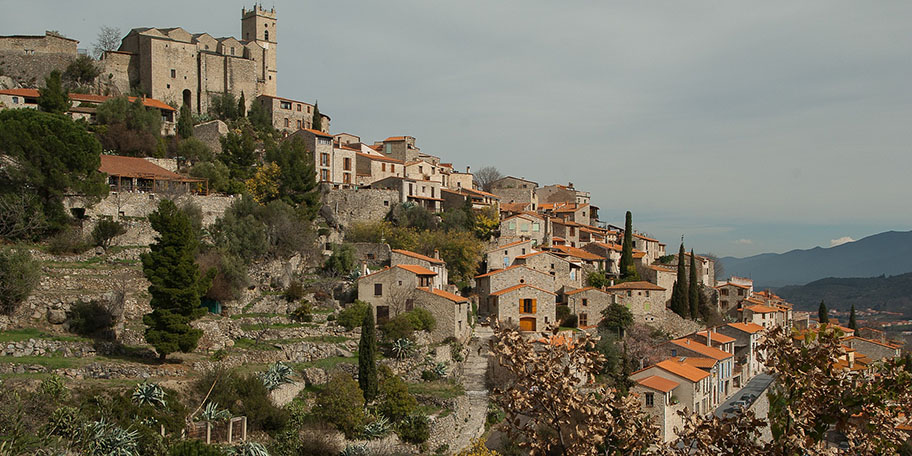 __wf_reserved_inherit