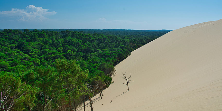La Dune du Pilat