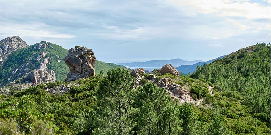 Corsica Landscape