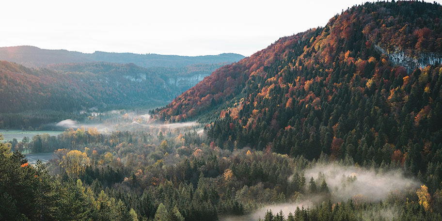 Bourgogne Franche-Comté