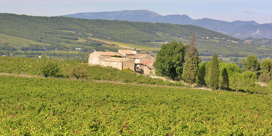 Lord and Sons Agency auf Green Acres