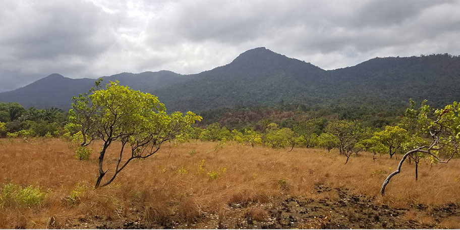 Région d'Outre-mer : Guyane