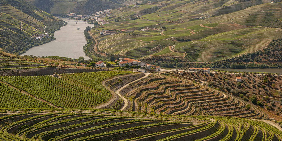 Foto des Douro-Tals