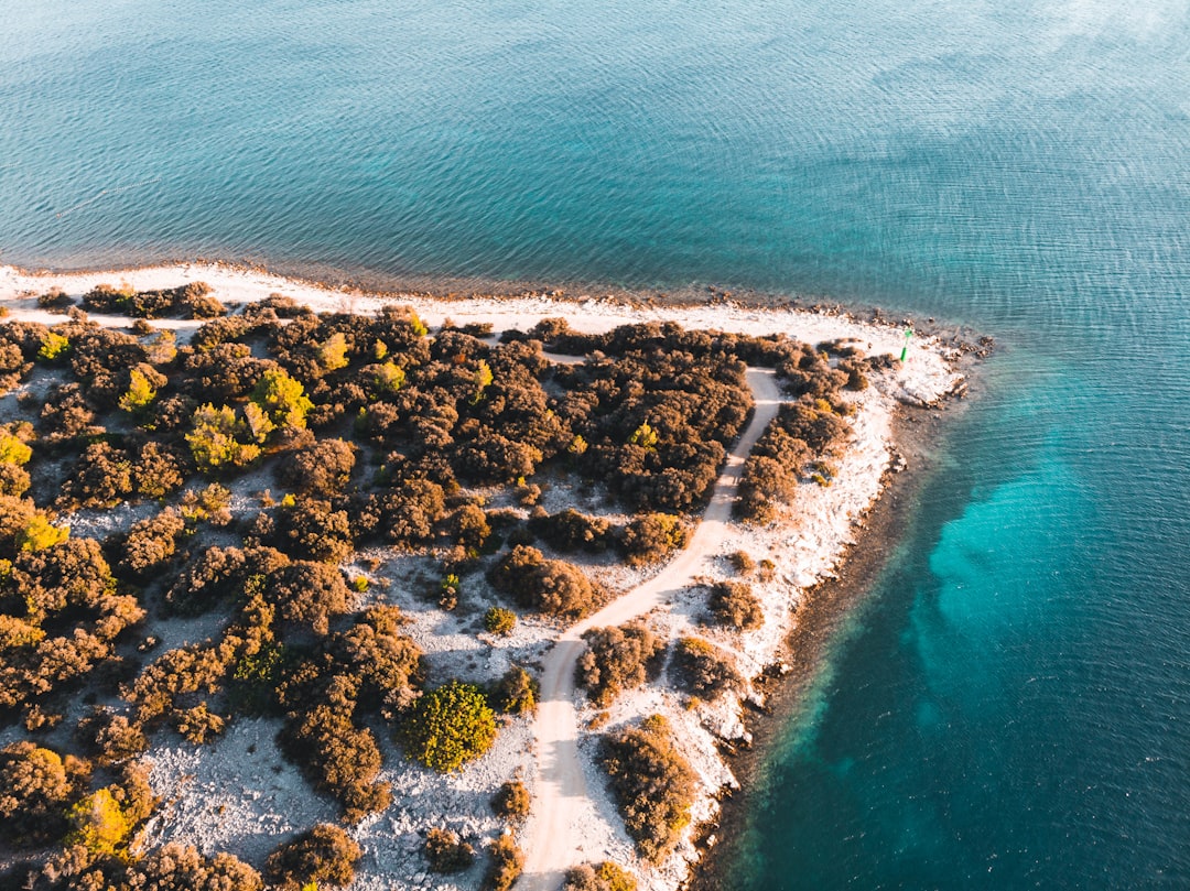 aerial view of green and brown island during daytime