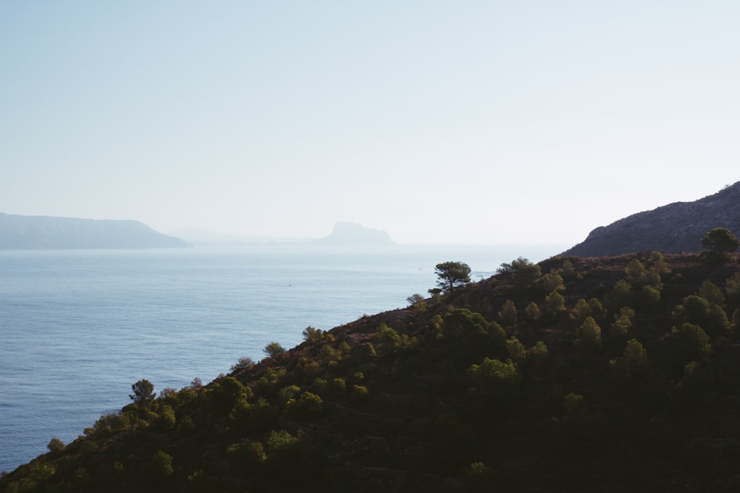 Is Alicante a good choice for British retirees in Spain?