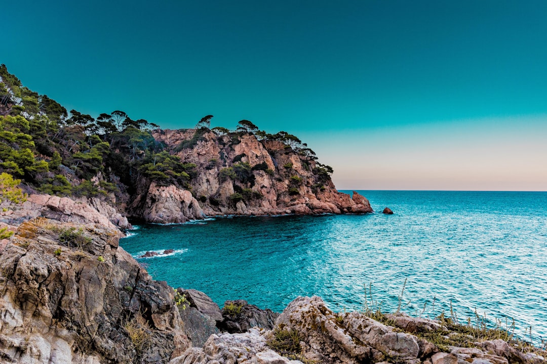 Alicante vs. Malaga: which is better for British retirees?