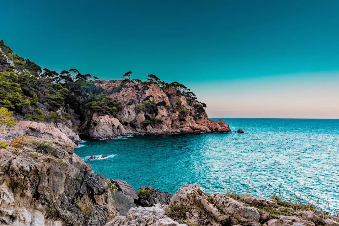Alicante vs. Malaga: which is better for British retirees?