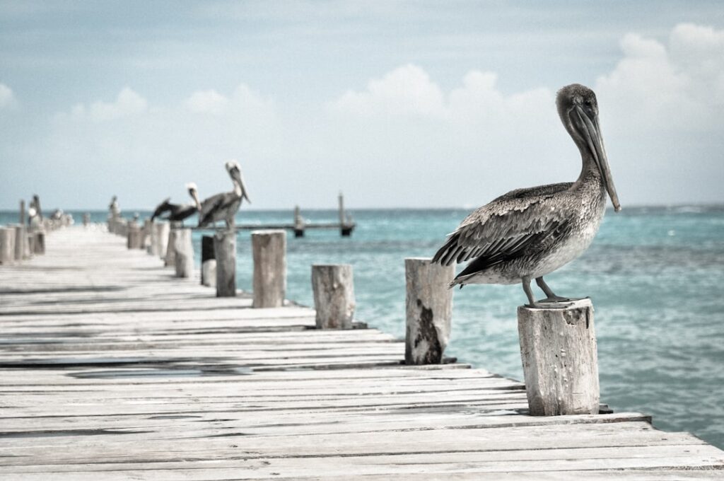 Banking in Mexico: managing money and currency exchange