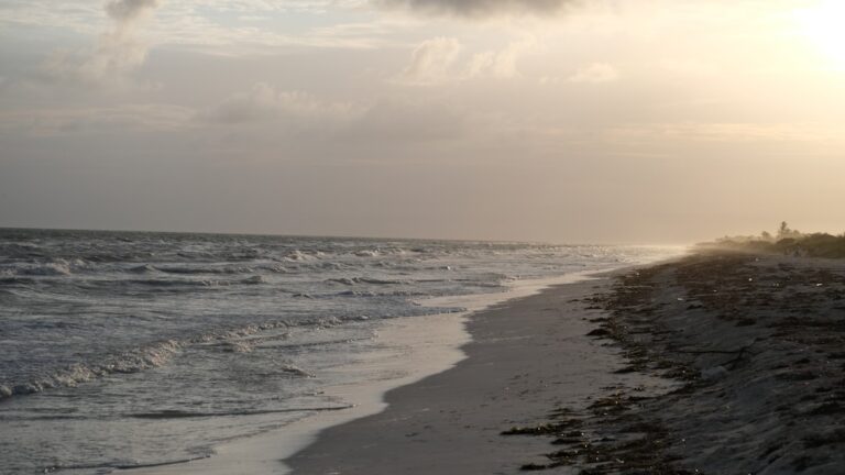 Bauqualität in Mexiko: Materialien und Standards im Vergleich zu Deutschland