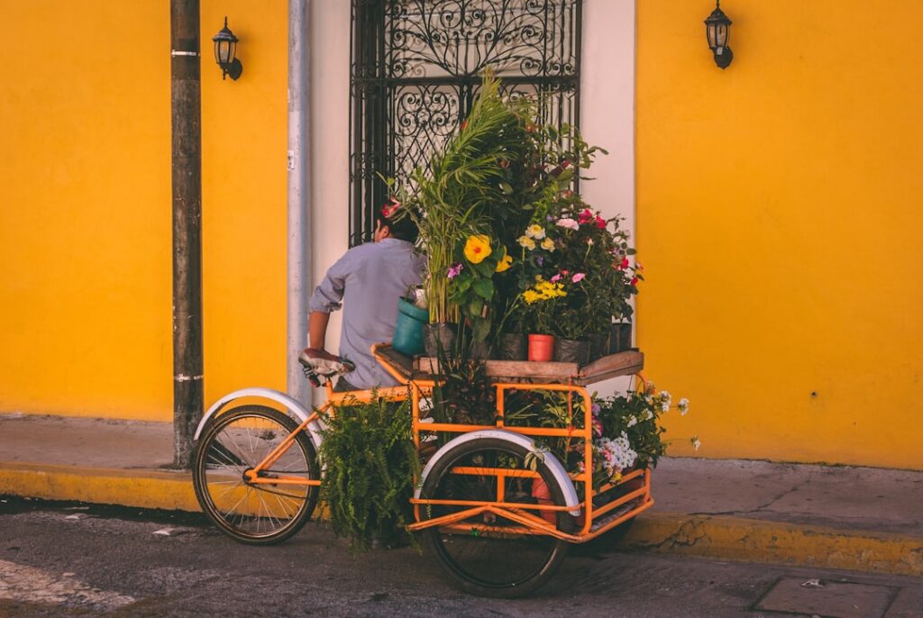 Best cities in Mexico for digital nomads and remote workers