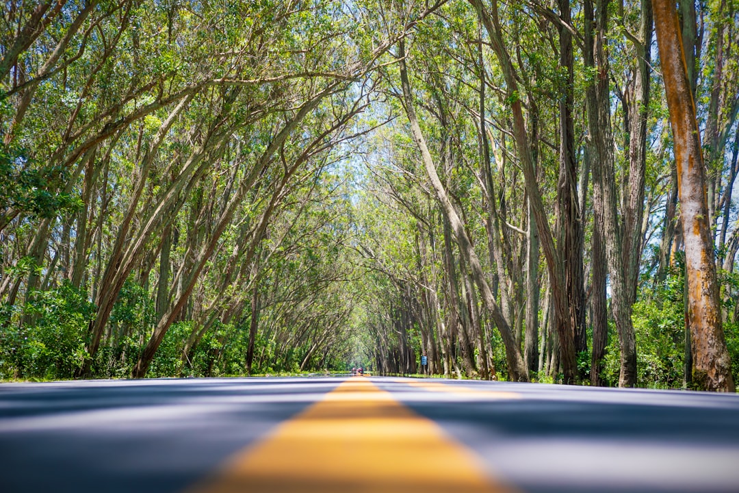 I love surfing – what are the best places in Brazil for surf-loving expats?