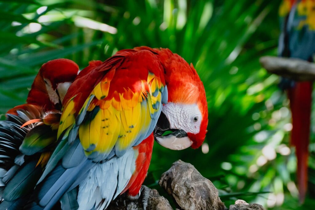 Best places to buy a vacation home in Mexico