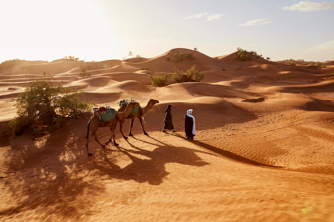 Where are the best places in Morocco for expats to live?