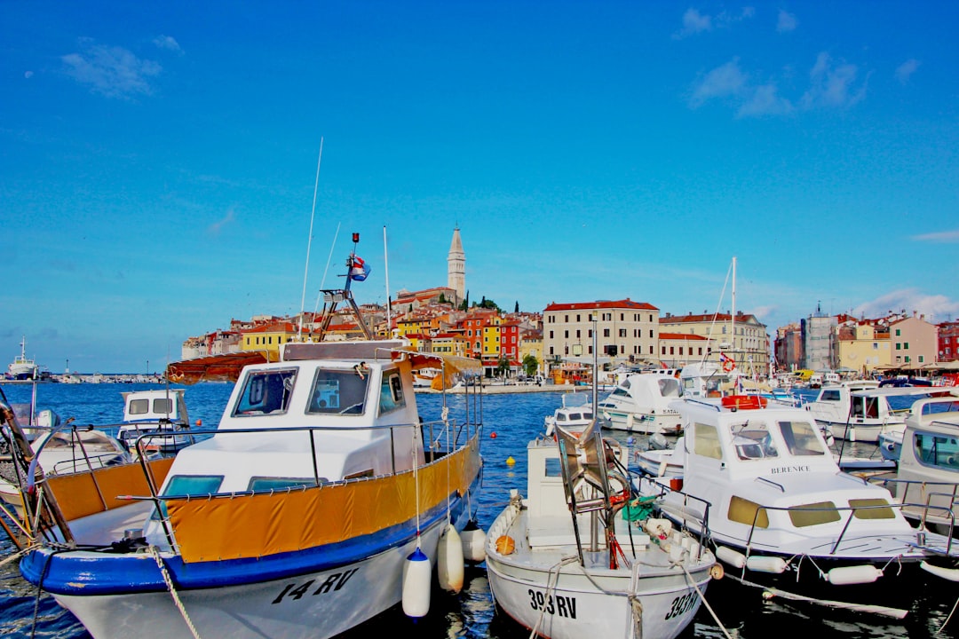 blue and white boat on dock during daytime