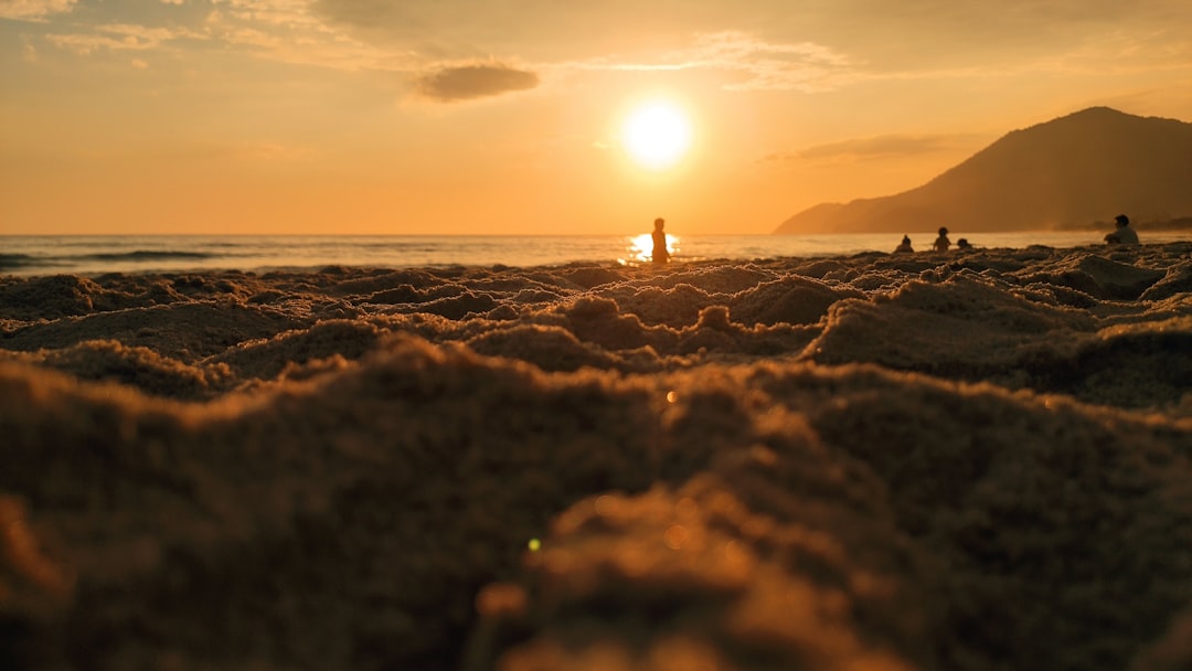 Bringing pets to Brazil: what to know and finding pet-friendly homes