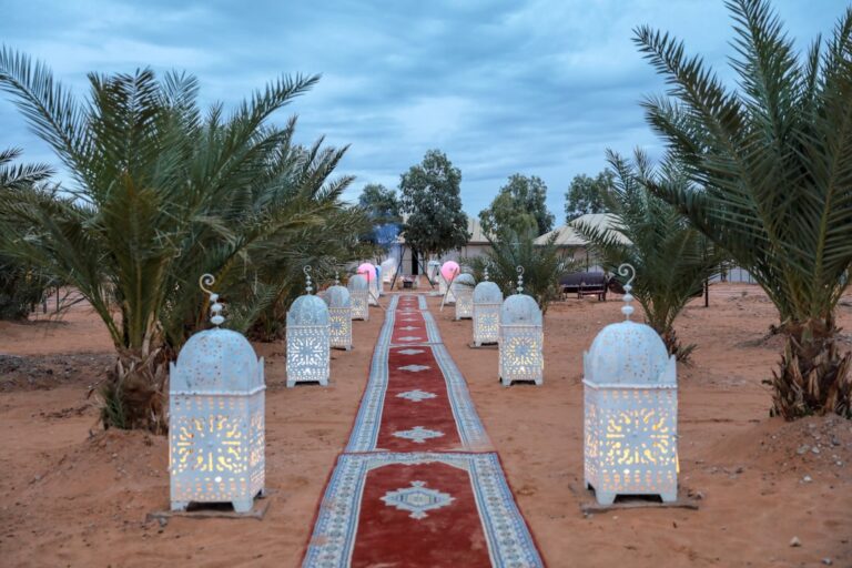 Bringing pets to Morocco: what expats need to know about importing animals and vet care