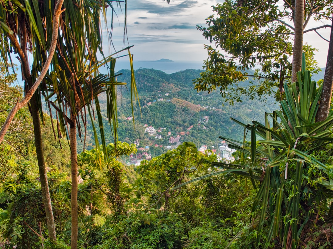 Condo ou villa à Phuket : comment faire le bon choix ?