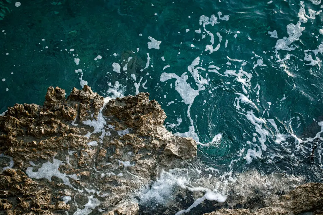 From Istria to Venice: weekend escapes for expats in northern Croatia