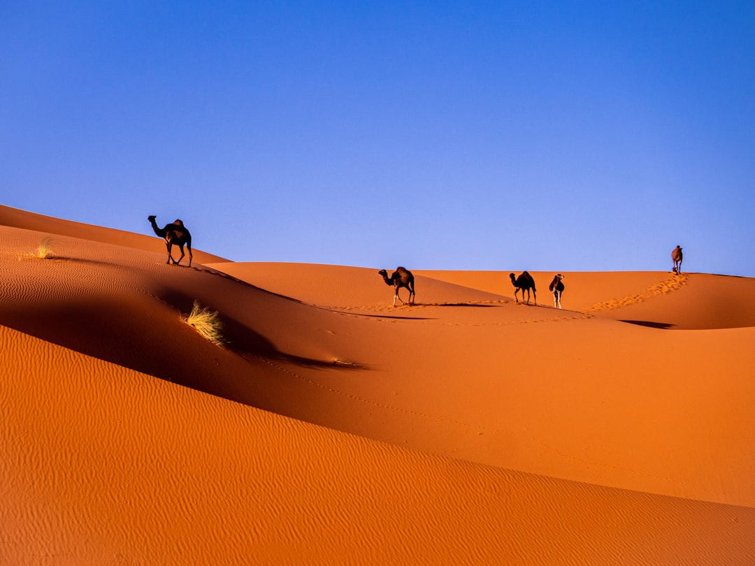 Full-time vs part-time retirement in Morocco: should you be a snowbird or stay year-round?