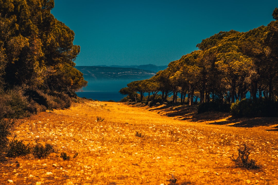 Furnishing your Spanish home: ship your belongings or buy local?