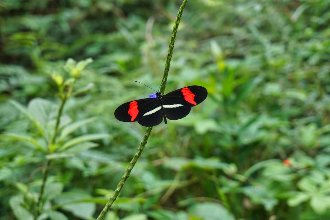 Grundstückskauf in Mexiko: Worauf müssen Bauherren achten?