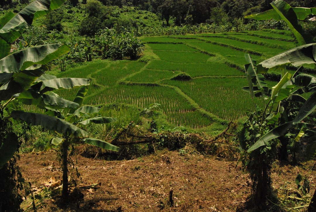 Immobilien-flipping in Thailand: Schnellkauf und -verkauf als strategie?