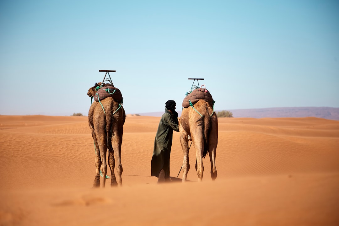 Klima-Check Marokko: Temperaturen, Jahreszeiten und die beste Reisezeit
