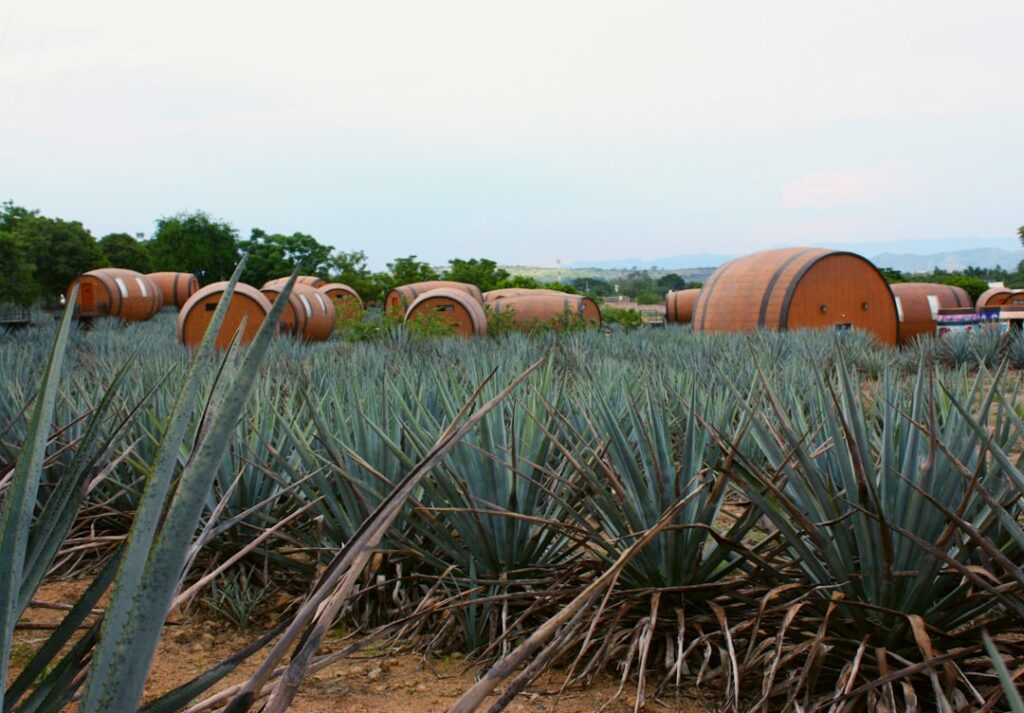 Lake Chapala living: inside Mexico’s largest expat community