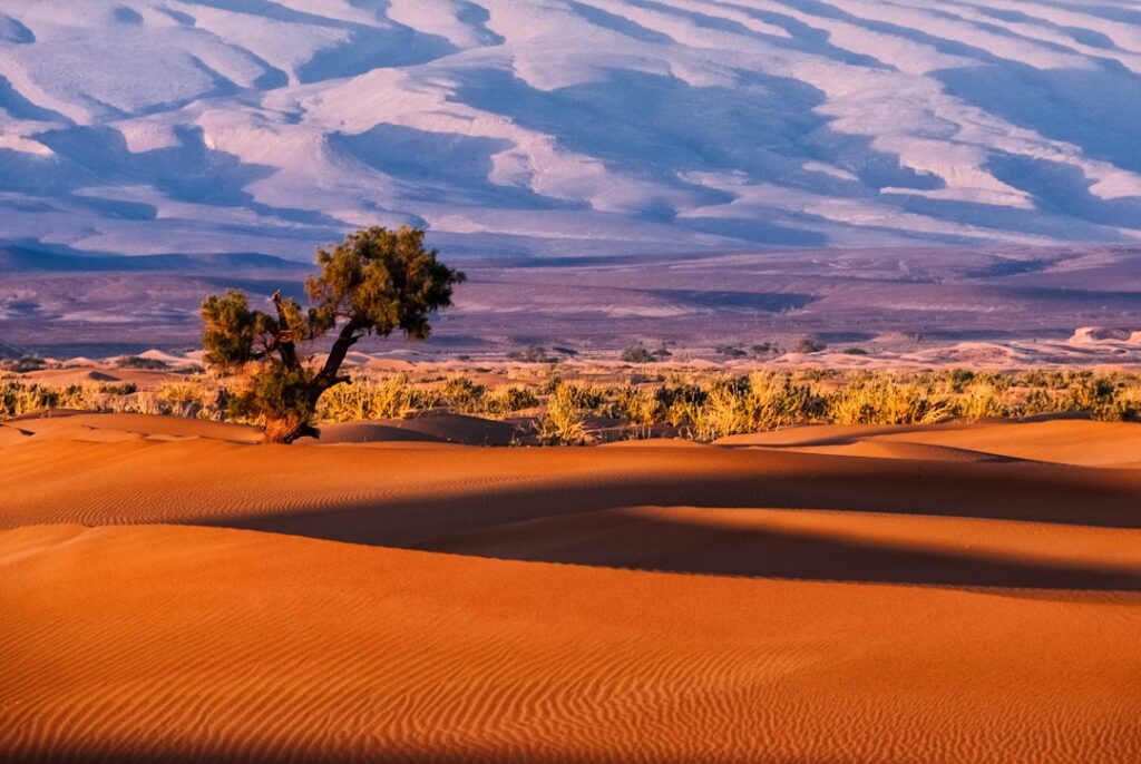Living in Morocco as a single woman: what female expats from the US/UK should know