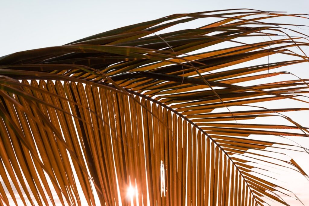 How can foreign owners manage their property in Brazil from abroad?