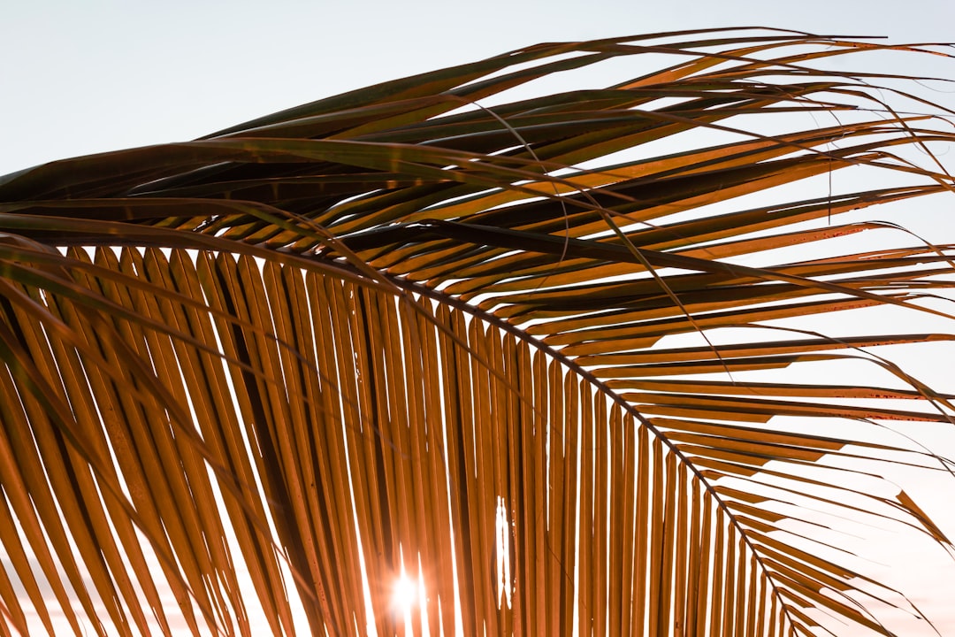 How can foreign owners manage their property in Brazil from abroad?