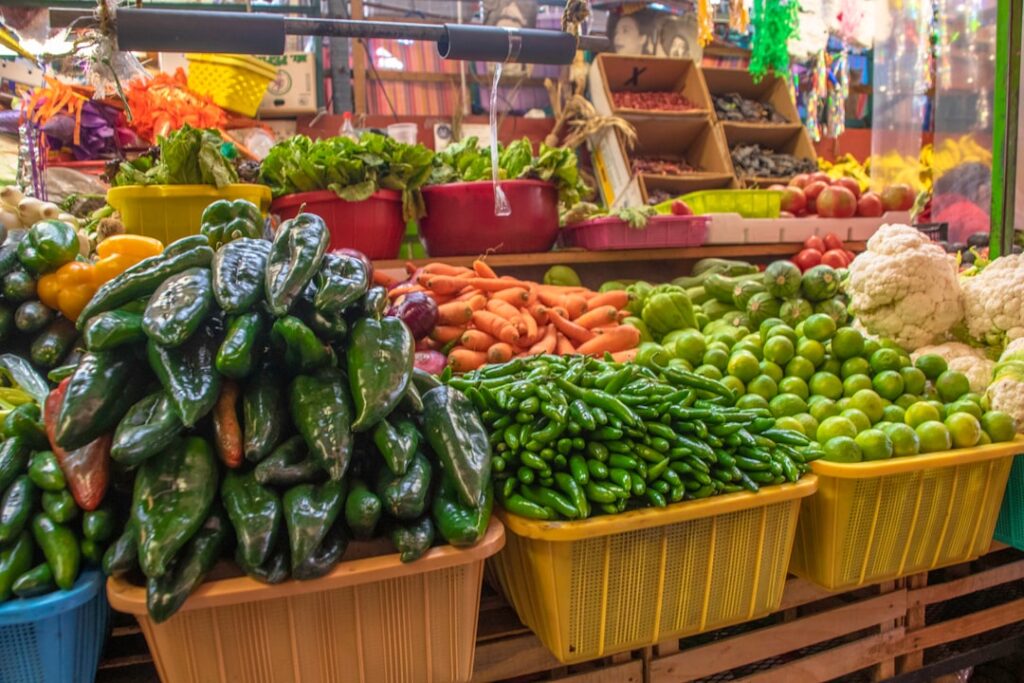Mexico vs Costa Rica: which is better for your retirement?