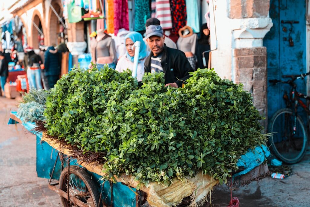 Buying property in Morocco as an investment: what returns can foreign investors expect?