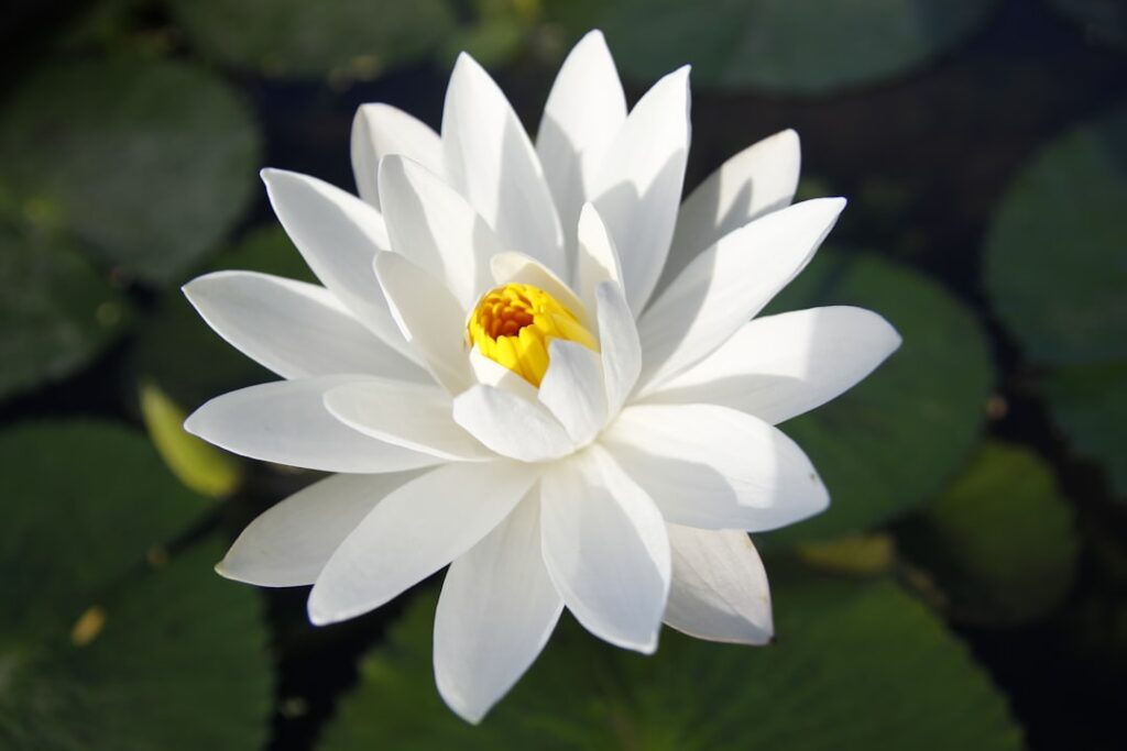 Moving family to Thailand: schooling, healthcare, and lifestyle considerations