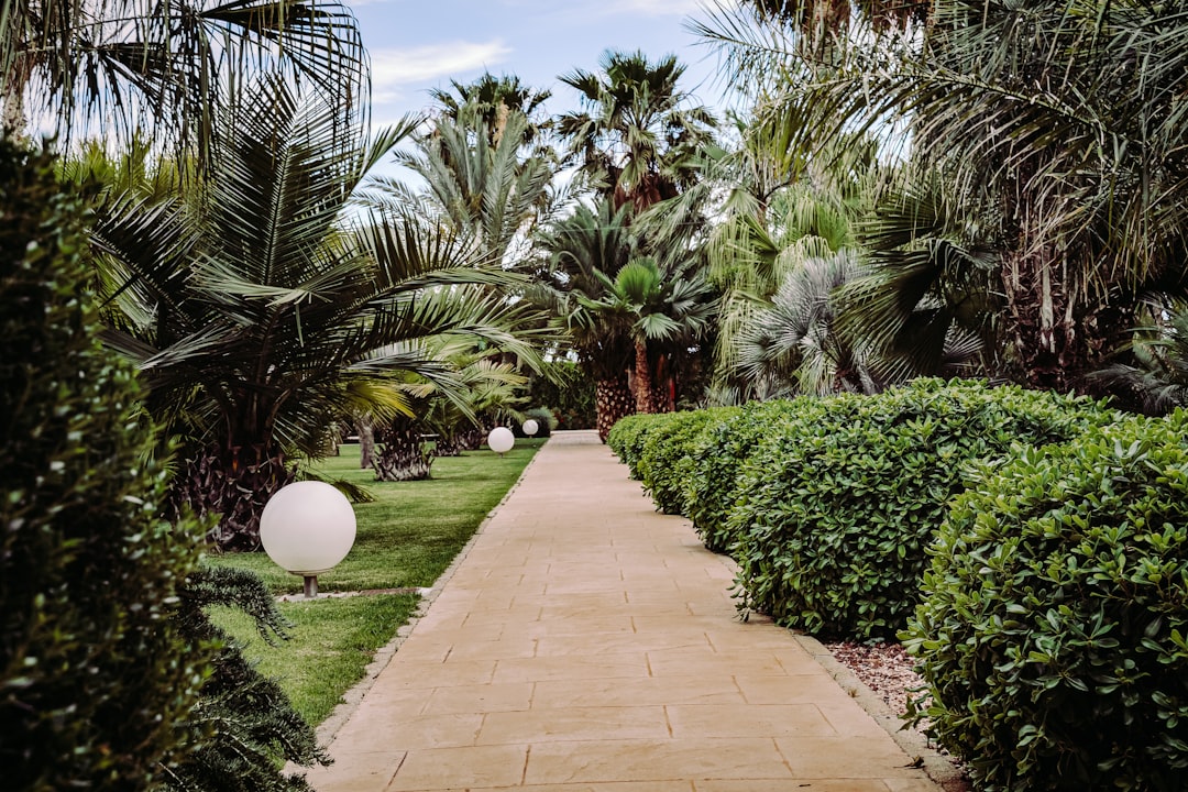 Moving to Alicante from the UK: a complete guide for expats