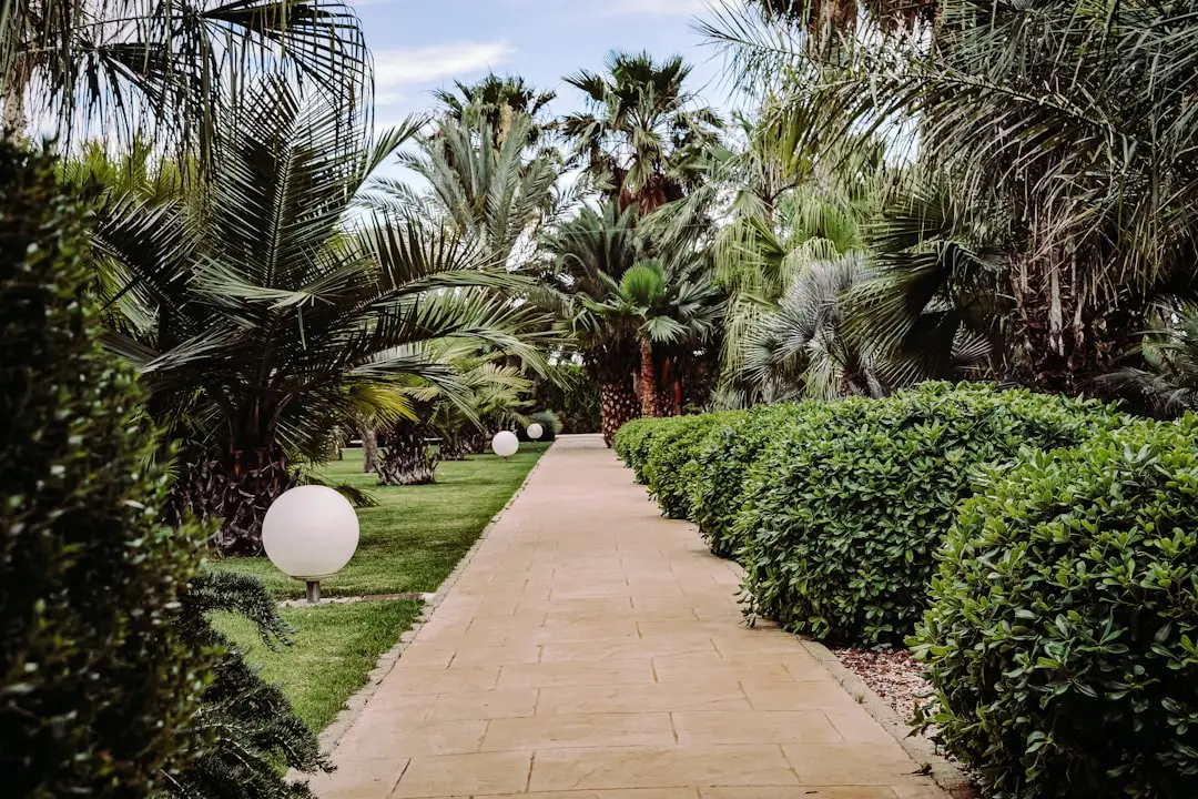 Moving to Alicante from the UK: a complete guide for expats
