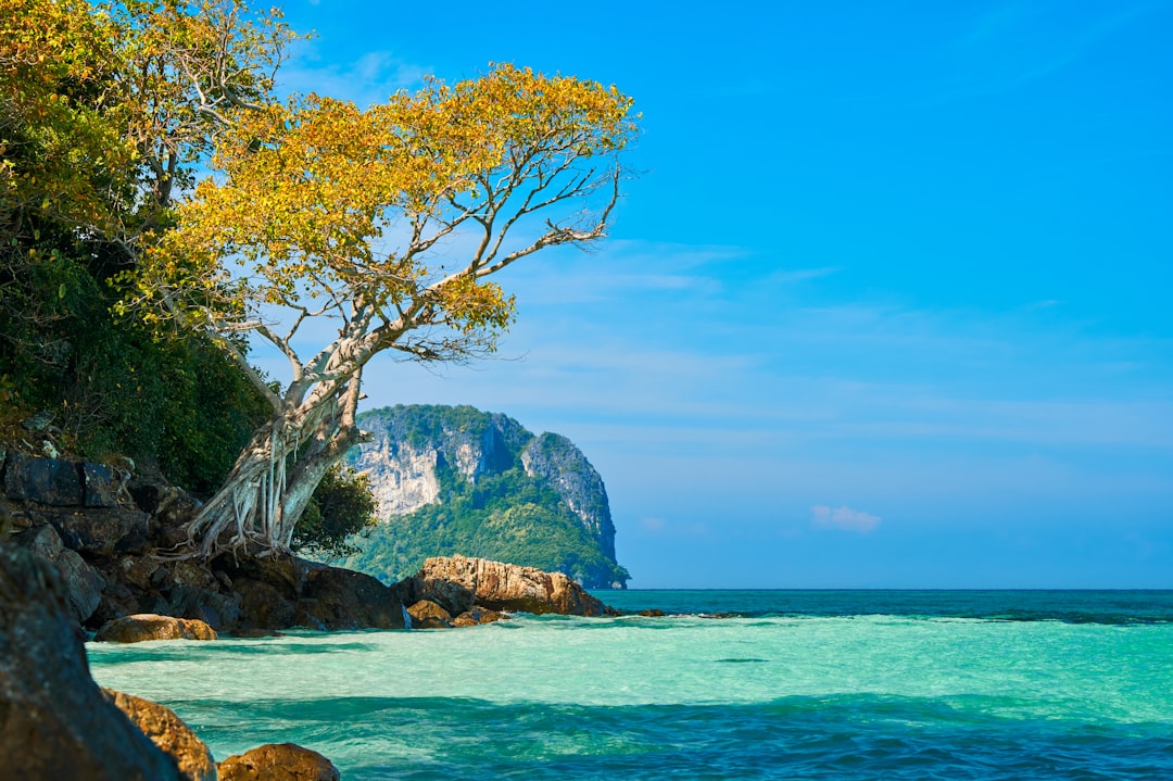 Networking and support for expats: clubs, forums, and associations in Thailand
