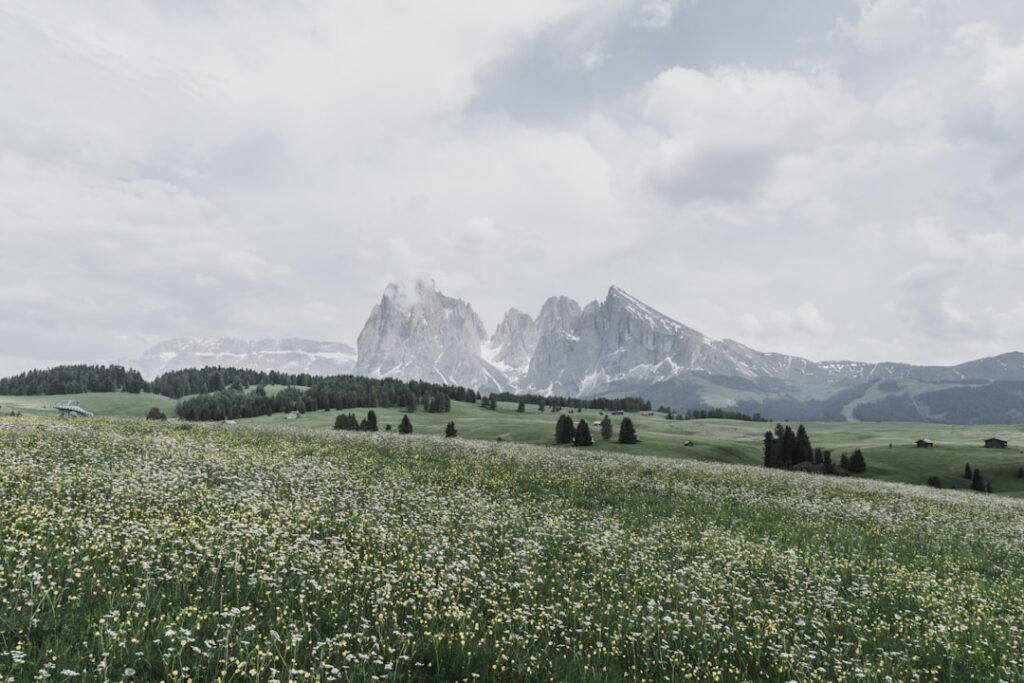 Notar, Makler, Geometra: Wen braucht man beim Hauskauf in Italien?