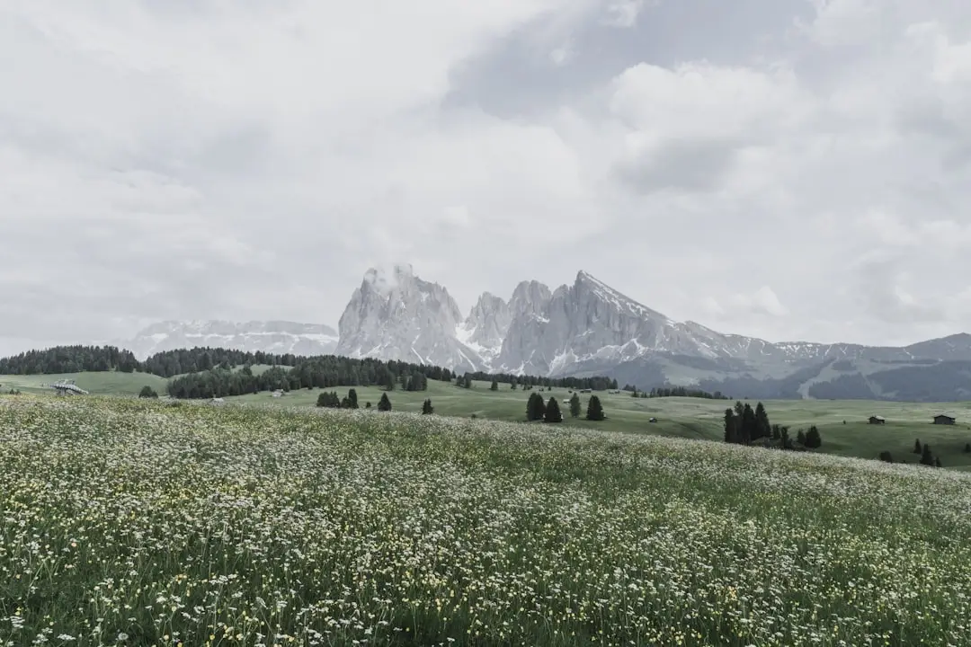 Notar, Makler, Geometra: Wen braucht man beim Hauskauf in Italien?