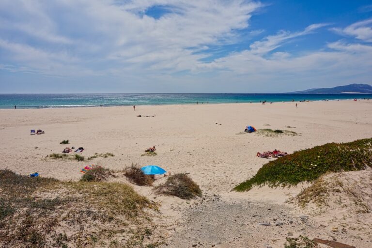 Organisatorisches vor dem Umzug: Was Sie in Deutschland regeln müssen
