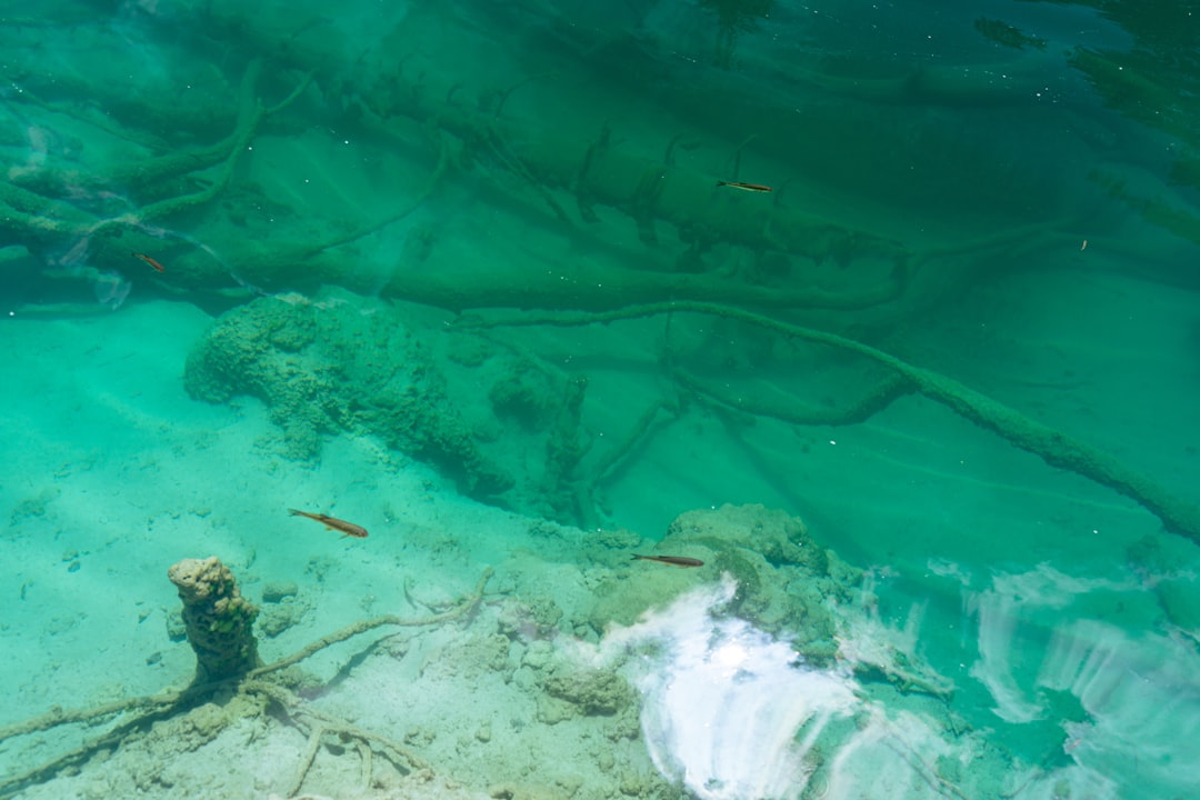 Prendre sa retraite en Croatie : guide complet pour un nouveau départ au soleil