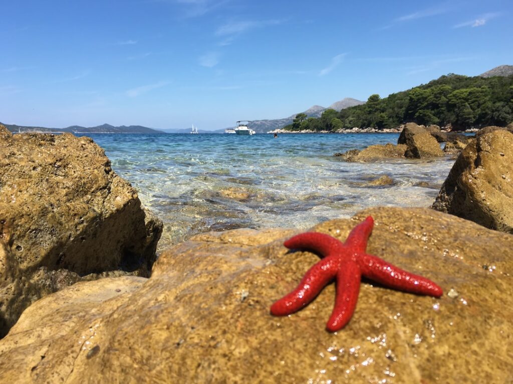 Residency and visas through property ownership in Croatia