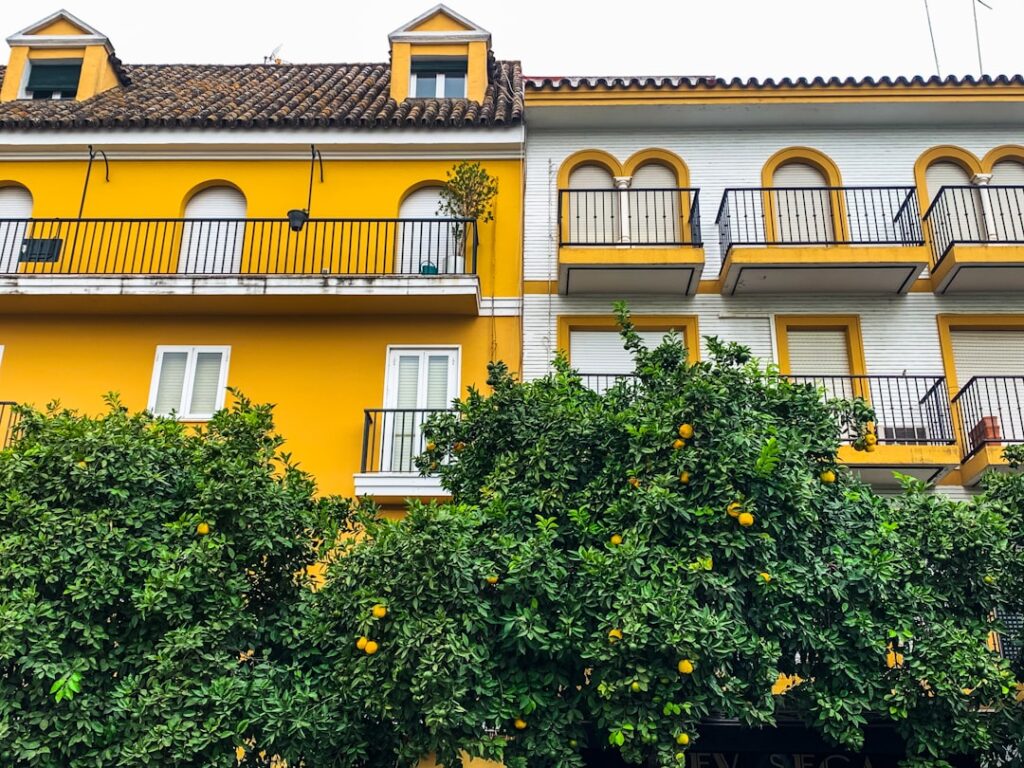 Seville for expats: immersing in Andalusian culture as a foreigner