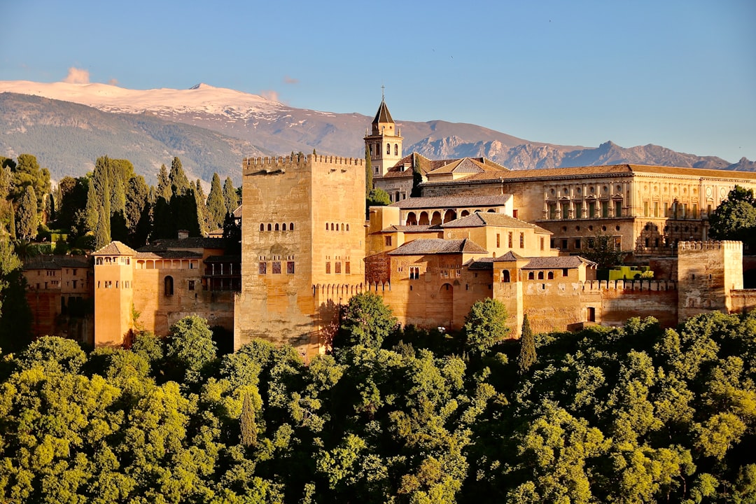 Do you need a Spanish will? Protecting your property as an expat owner