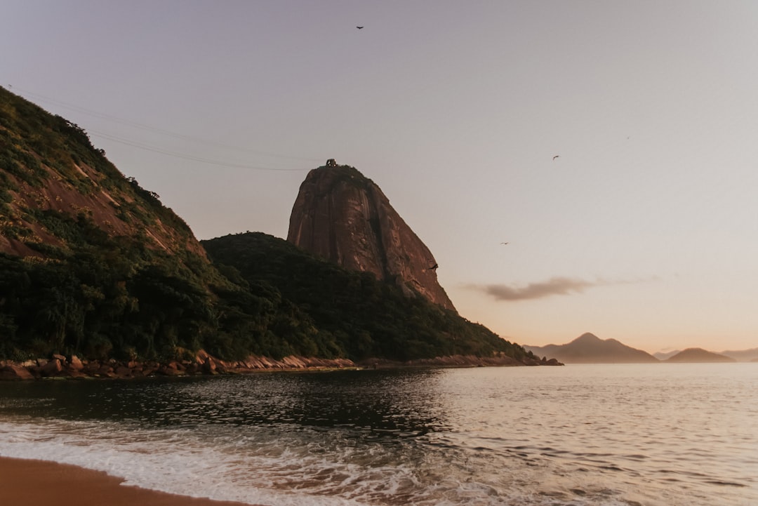 Een stuk grond kopen in Brazilië: aandachtspunten bij het kopen van bouwland