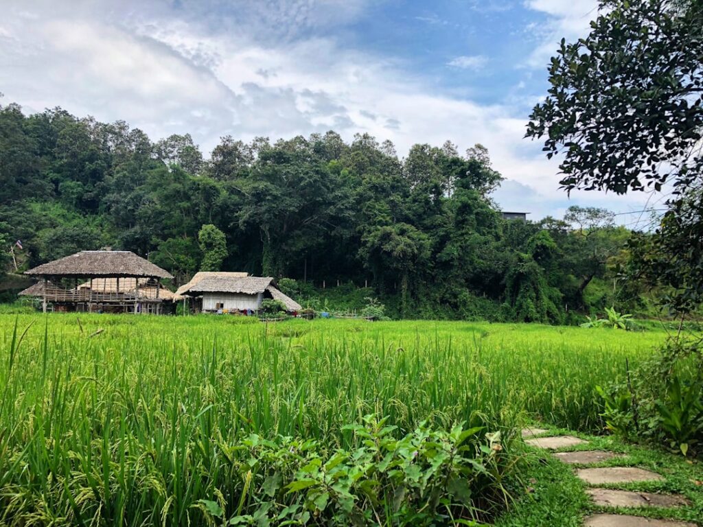 Thailand Elite Visa: is it worth it for long-term property owners?