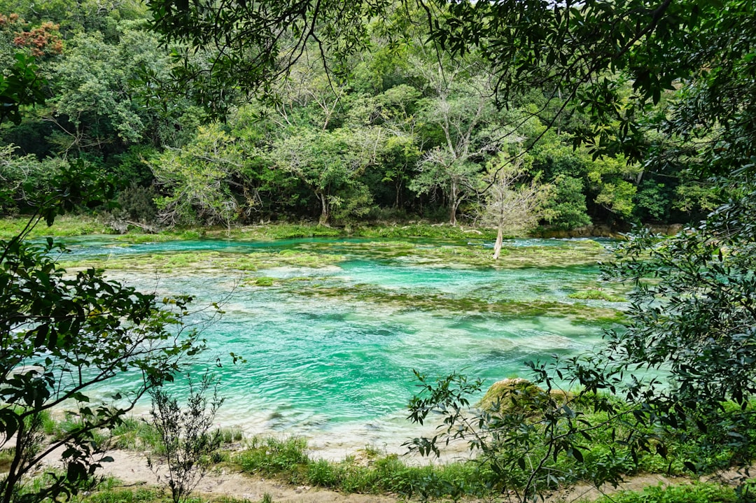 Umzug nach Mexiko-Stadt: Tipps für eine erfolgreiche Eingewöhnung